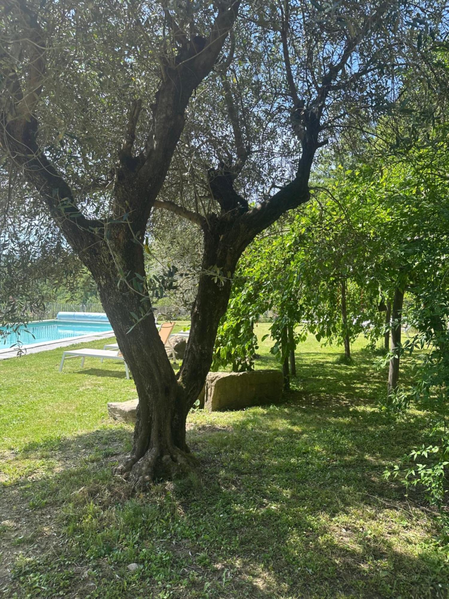 Collina Di Sopra Villa Tresana Exterior foto