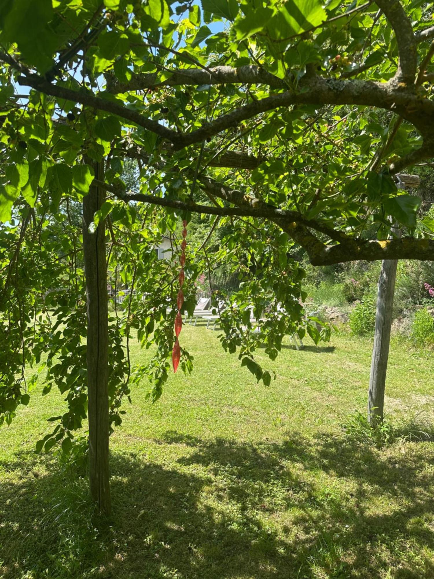 Collina Di Sopra Villa Tresana Exterior foto